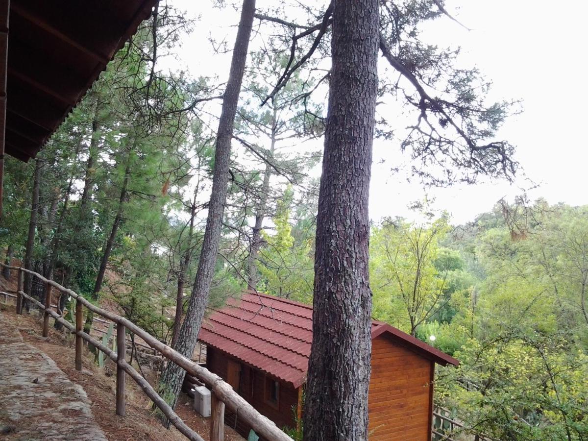 Camping La Eliza Hotel Lanzahita Exterior foto